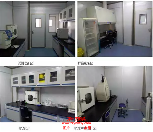 移動PCR實驗室建設