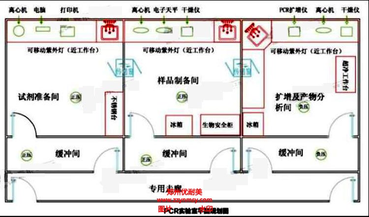 PCR實驗室設計效果圖