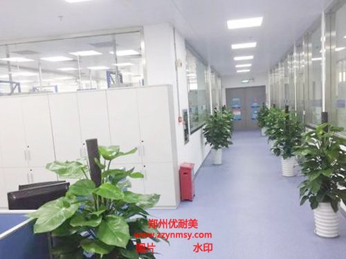 P2實(shí)驗(yàn)室裝修設(shè)計(jì)